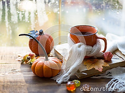 An orange mug in a scarf with hot tea, pumpkins, yellow dry maple leaves, a book on the windowsill, raindrops on the window - Stock Photo