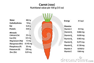 Carrot (raw). Nutritional value per 100 g (3.5 oz). Vector Illustration
