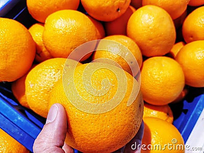 Orange is in one hand. Many more are behind the scenes in a blue basket. Stock Photo