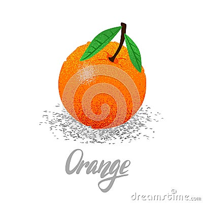 Orange, organic fruit, vegetarianism, vitamins in the garden vector illustration, vector particles Vector Illustration