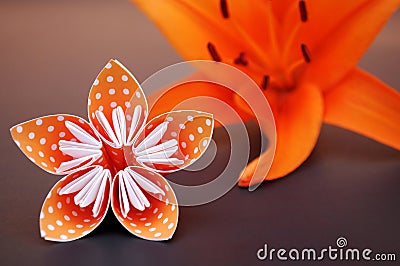 Orange origami flower made of polka dotted paper and lily. Stock Photo