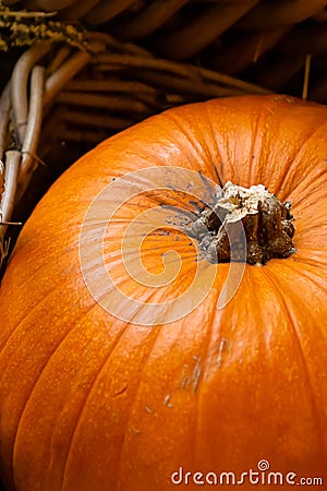 Orange oval big pumpkin part autumn seasonal vegetable vertical design background Stock Photo