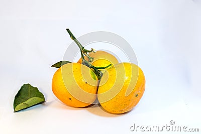 Orange over white background Stock Photo