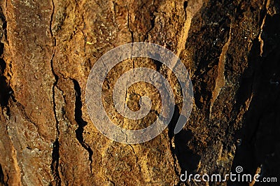 Orange Oxydation Texture Stock Photo