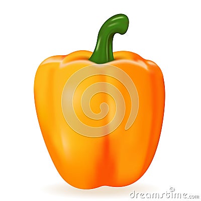 Orange paprika isolated on white background. 3D realistic vector illustration. Sweet juicy bell pepper Vector Illustration