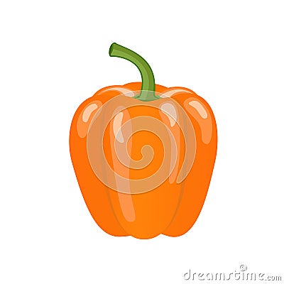 Orange paprika pepper, flat style vector illustration isolated on white background Vector Illustration