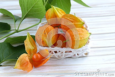 Orange physalis berries Stock Photo