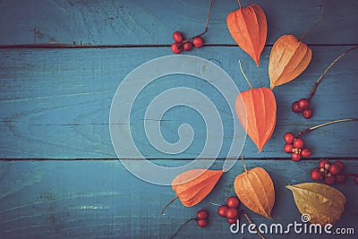 Orange physalis with red berries on the wooden cyan table Stock Photo