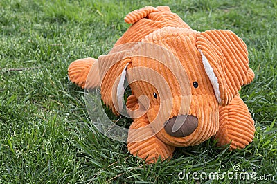 Orange Plush Dog Lying on Grass Stock Photo