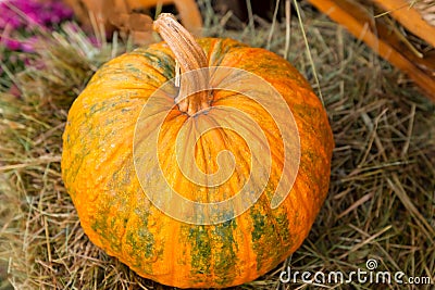 Orange pumpkin closeup on a background of hay vintage farm background rustic Stock Photo