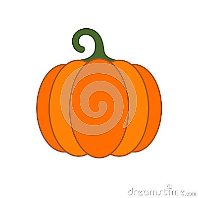 Orange pumpkin closeup. Vector Illustration