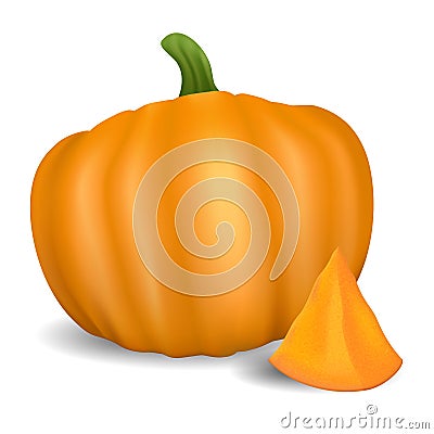 Orange pumpkin. Healthy organic food. Realistic vector Vector Illustration