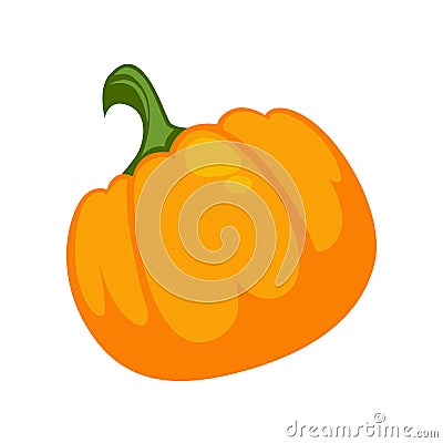 Orange pumpkin illustration Vector Illustration