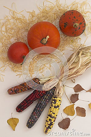 Orange pumpkins on a straw. Multi-colored ears of corn. Autumn leaves. Light background Stock Photo