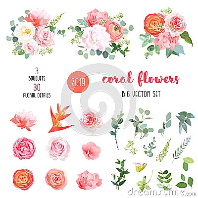 Orange ranunculus, pink rose, hydrangea, coral carnation, garden Vector Illustration