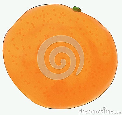 Orange fruit, sketch for menu design, labels, posters Cartoon Illustration