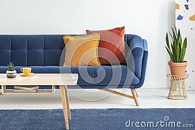 Orange and red cushions on a fancy, navy blue sofa and a basic, wooden coffee table on a blue rug in a white living room interior. Stock Photo