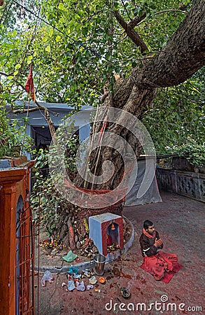 Orange-robed Sadhu Indian Monk Holy man inside Vintage Mataji Editorial Stock Photo