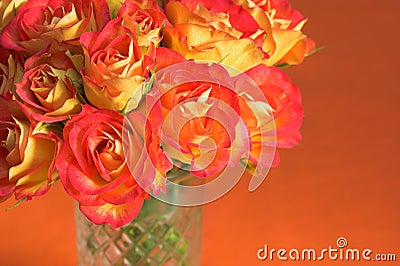 Orange Roses in glass vase Stock Photo