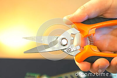 Orange secateur in hand. Scissors for cutting metherials Stock Photo