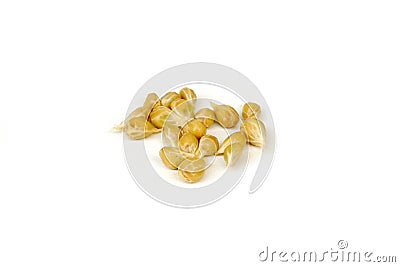 Orange seeds Stock Photo