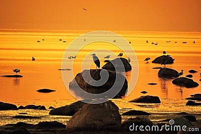 Orange sky and water after sunset Stock Photo