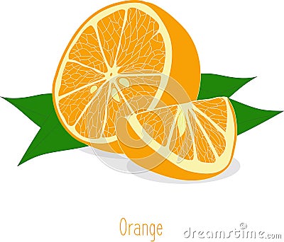 Orange slices, collection of illustrations Cartoon Illustration