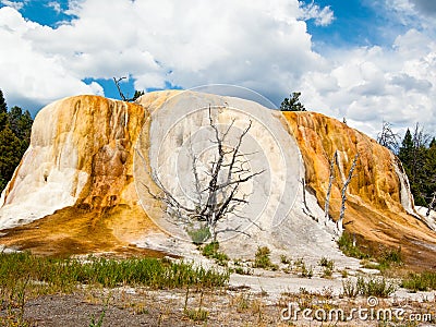 Orange Spring Mound at Yellowstone NP Stock Photo