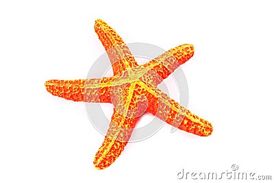 Orange starfish Stock Photo