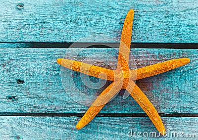 Orange starfish or sea star on blue wooden boards Stock Photo