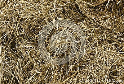 Orange straw pile. Stock Photo