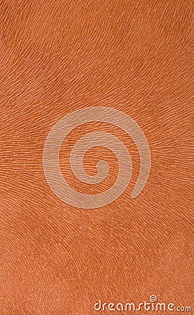 Orange textured paper Stock Photo