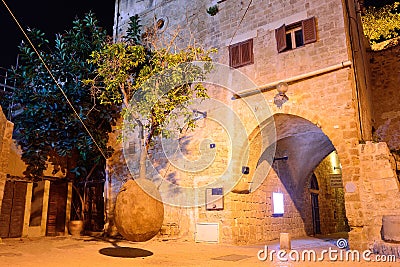 Orange tree hanging in the air Editorial Stock Photo