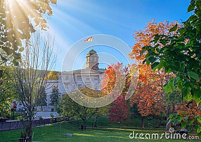Orange trees in the park at McGill University campus in autumn, Montreal Quebec Canada Stock Photo