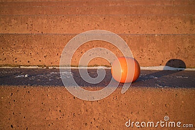 Orange tropical fruit on orange steps winter time russia, sunlight outdoors Stock Photo