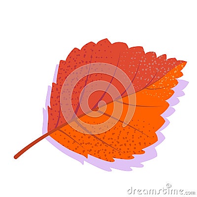 Orange vector birch leaf with shadow, isolated on white background. Vector Illustration