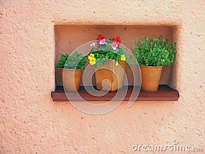 Orange wall and flowers Stock Photo