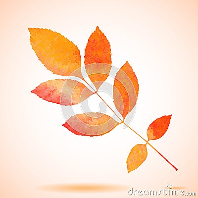 Orange watercolor painted ash tree leaf Vector Illustration