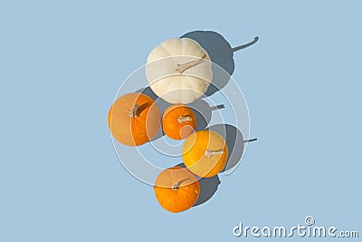 Orange and white pumpkins illuminated by the sunlight against pastel blue background. Bright thanksgiving autumn minimal Stock Photo