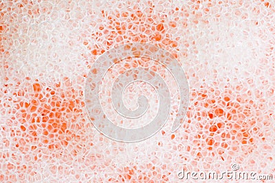 A orange and white sponge Stock Photo