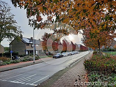 Orange, yellow and brown leaves illuminated by sunlight in the autumn season Editorial Stock Photo