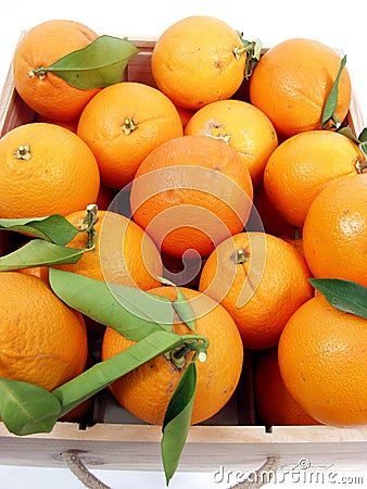 Oranges Stock Photo