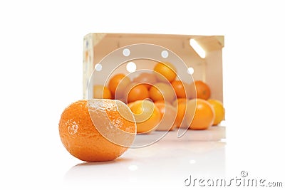 Oranges or clementines Stock Photo