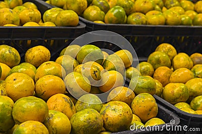 Oranges fruit inside plastic crate at supermarket Stock Photo