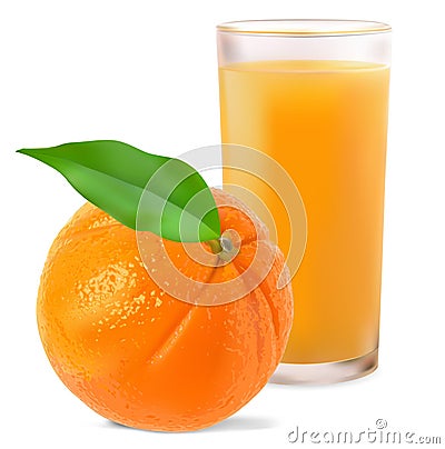 Oranges and orange juice Vector Illustration