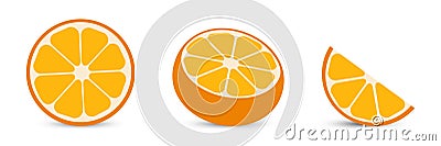 Oranges with orange slice and half orange. Citrus Vector Illustration