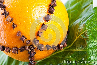 Oranges studded with cloves Stock Photo