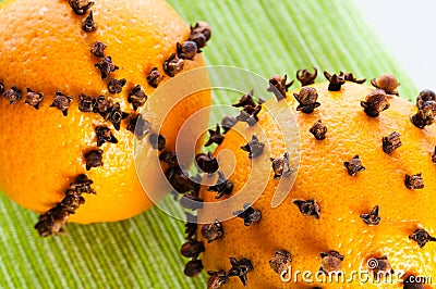 Oranges studded with cloves Stock Photo