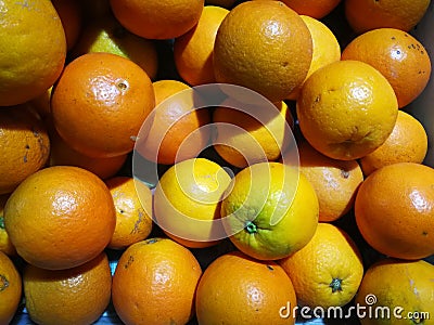 The oranges Stock Photo