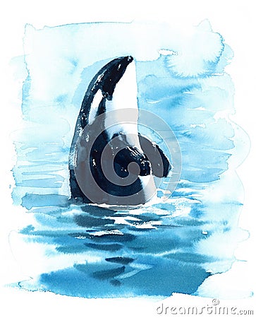 Orca Killer Whale in the water Watercolor Illustration hand painted Cartoon Illustration